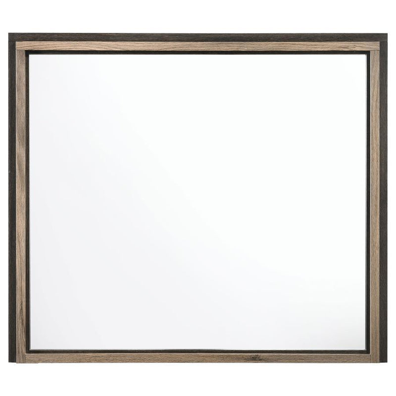 Baker - Rectangular Dresser Mirror - Brown And Light Taupe